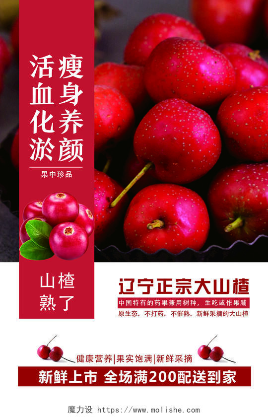 红色简约瘦身养颜活血化瘀山楂秋天水果海报